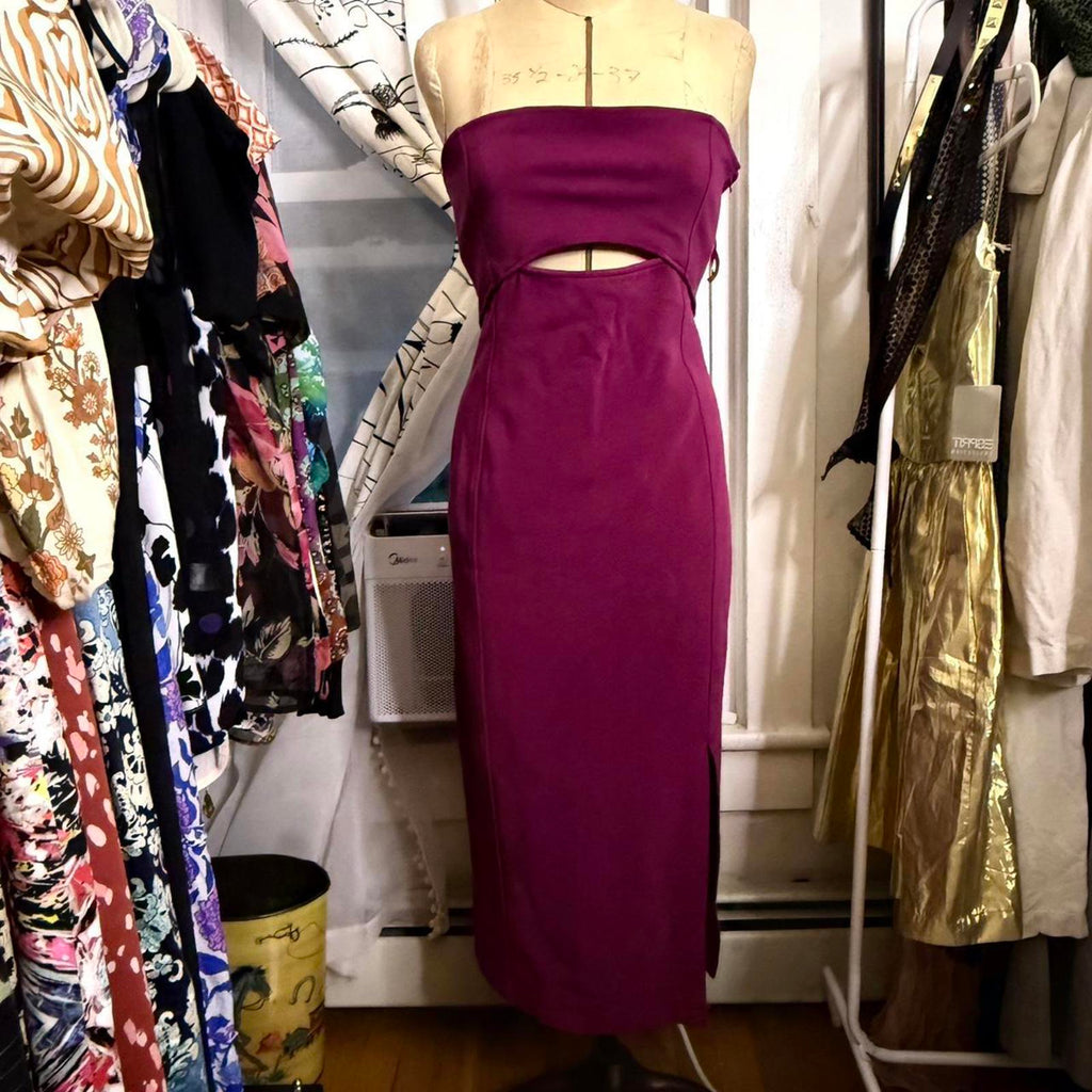 Maeve for Anthropologie Burgundy Bodycon Dress