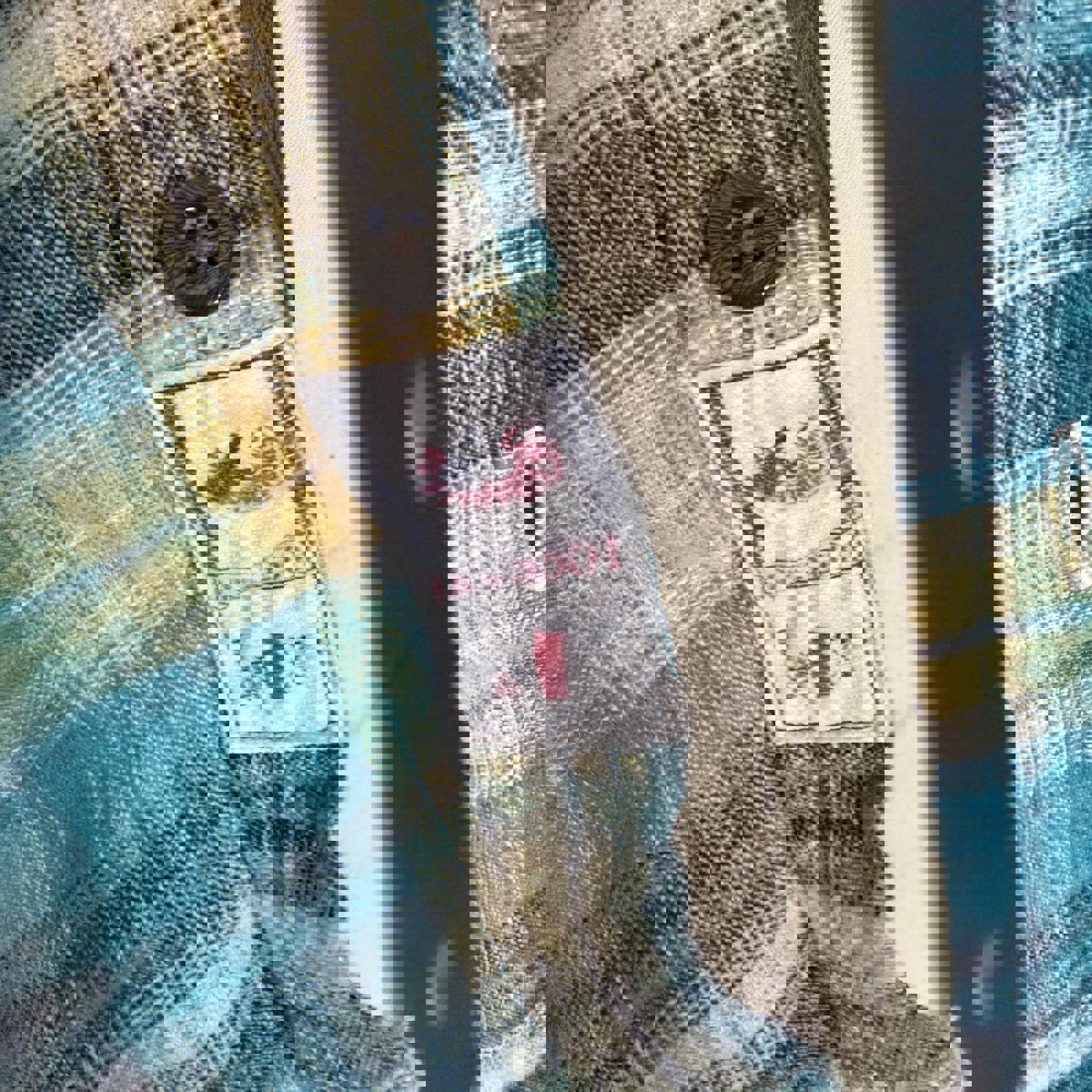 Levi's Small Plaid Button-Up Shirt