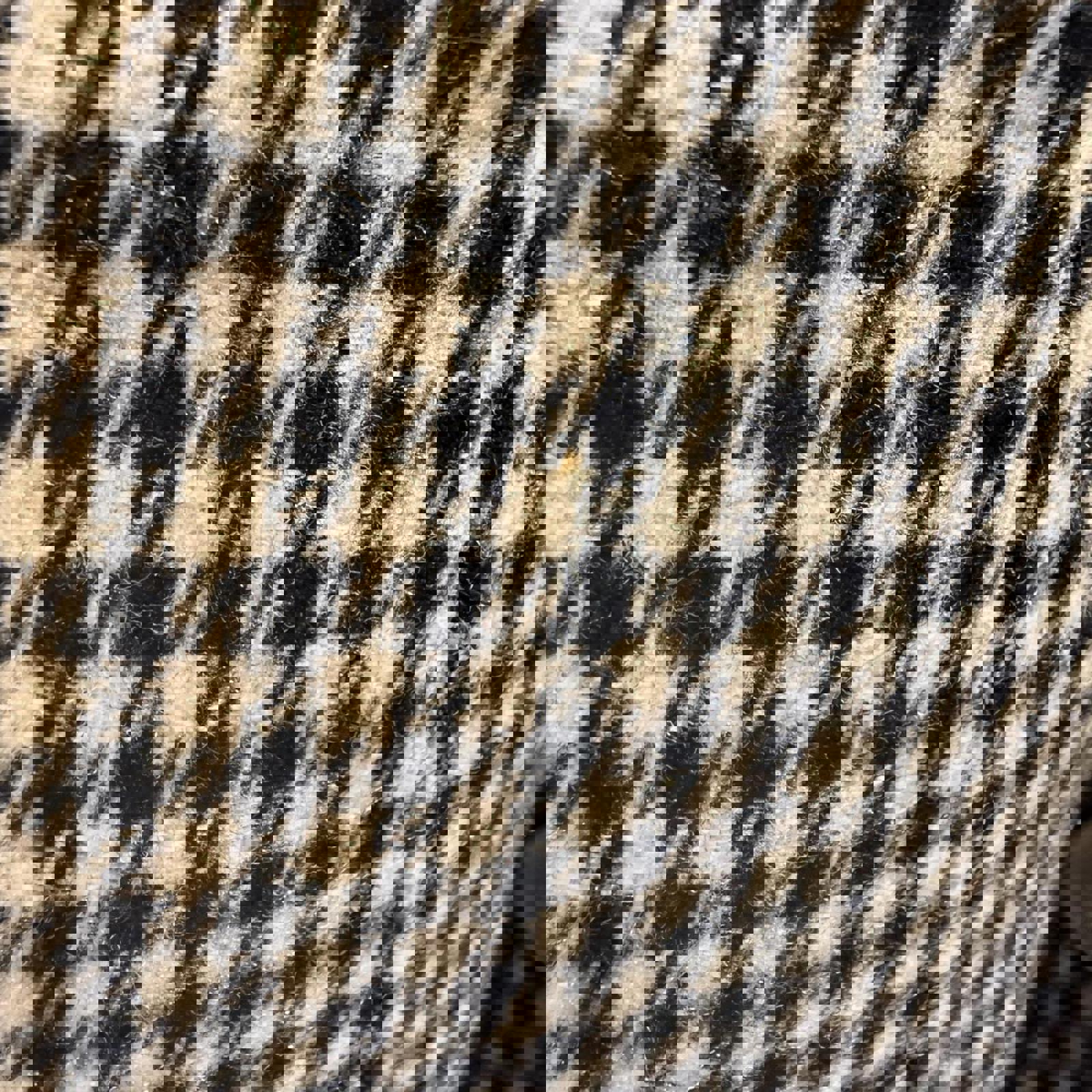 Tracy Evans Vintage Black and White Houndstooth Midi Skirt