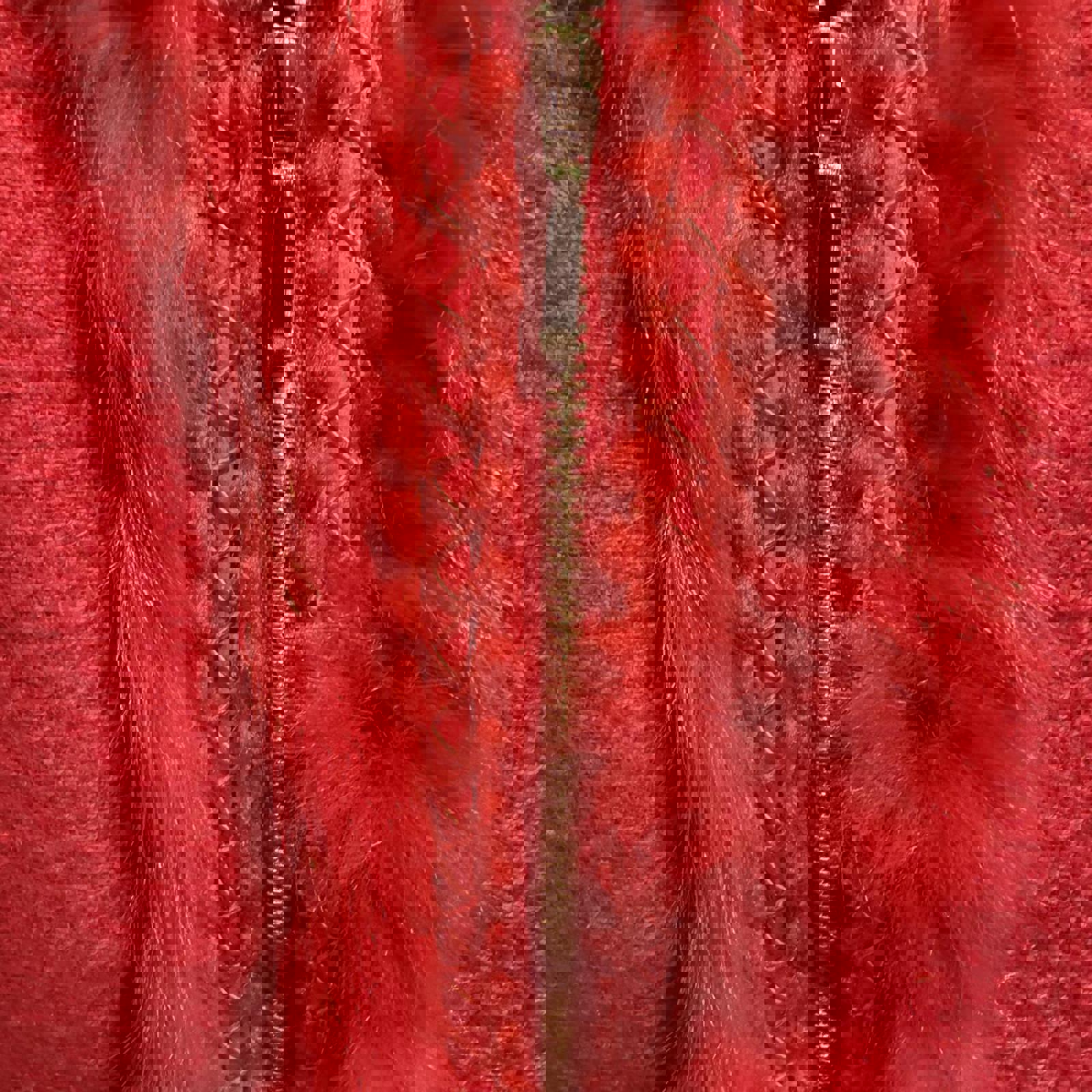 Dalia Red Zip-Up Jacket with Rabbit Fur Trim