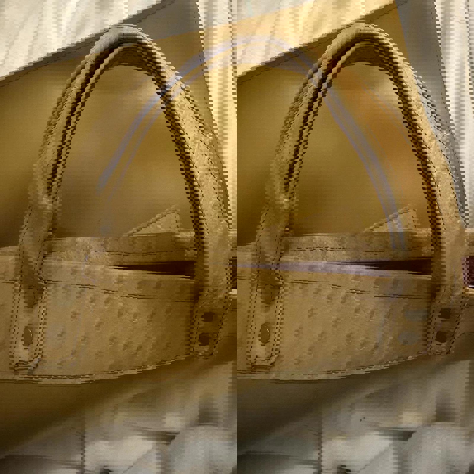 Tan and brown ostrich leather tote bag with a boho touch