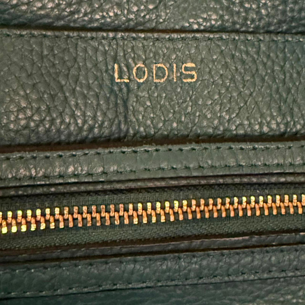 Lodis Women's Blue and Green Bag