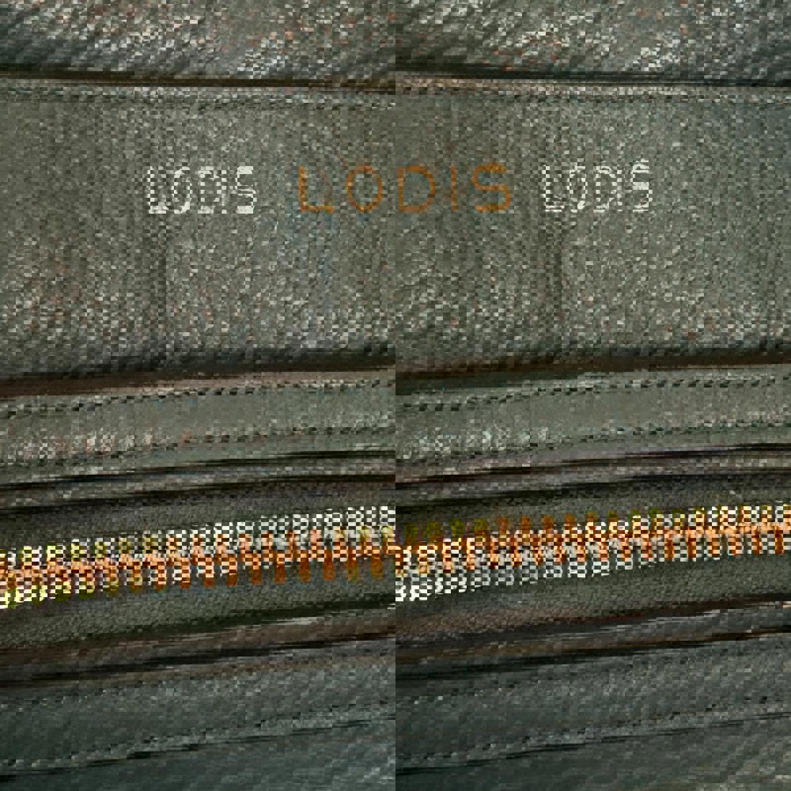 Lodis Women's Blue and Green Bag