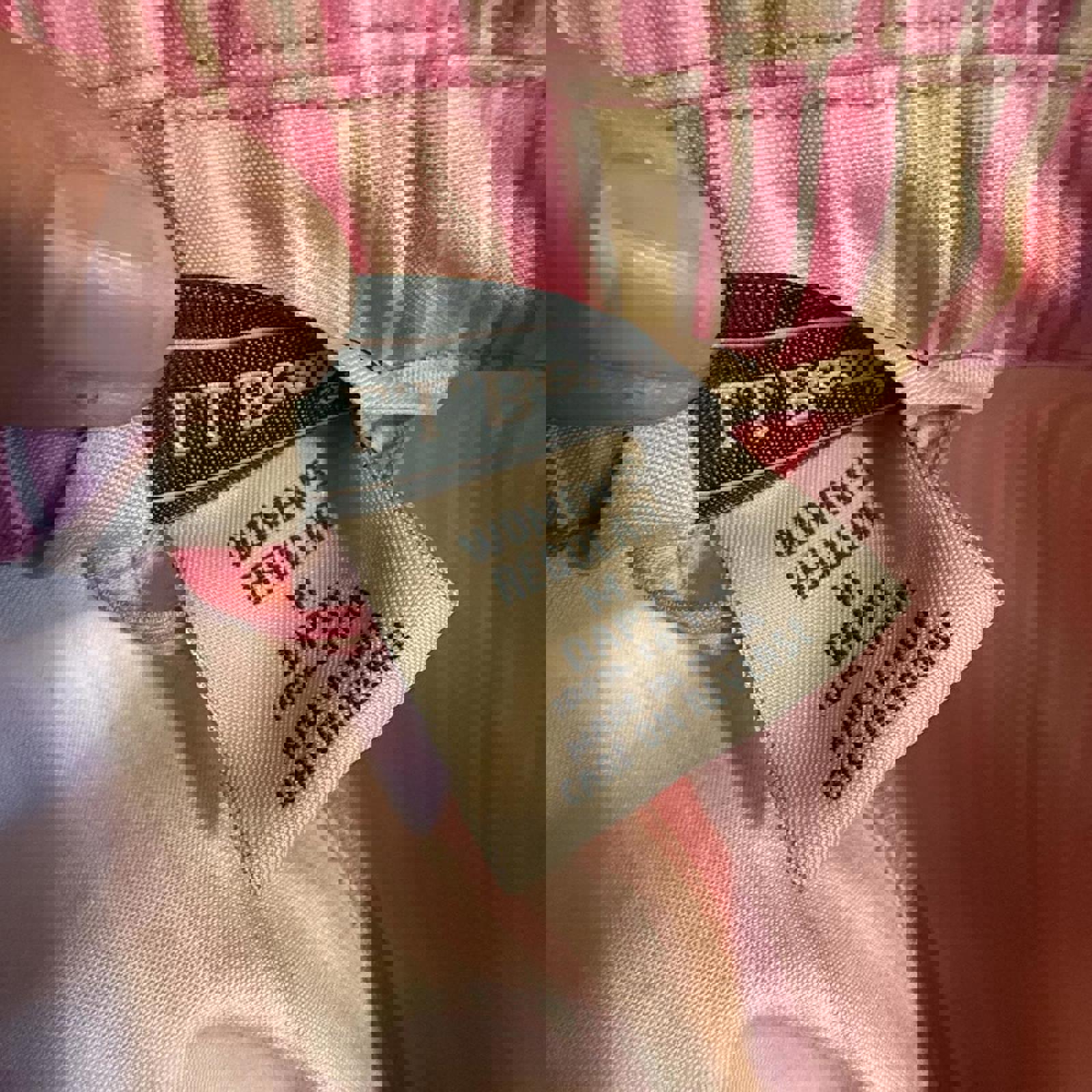 L.L.Bean Pink and White Striped Raincoat Size M