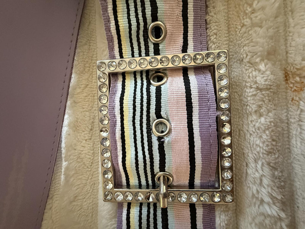 Striped Purple and Pink Rhinestone Buckle Belt