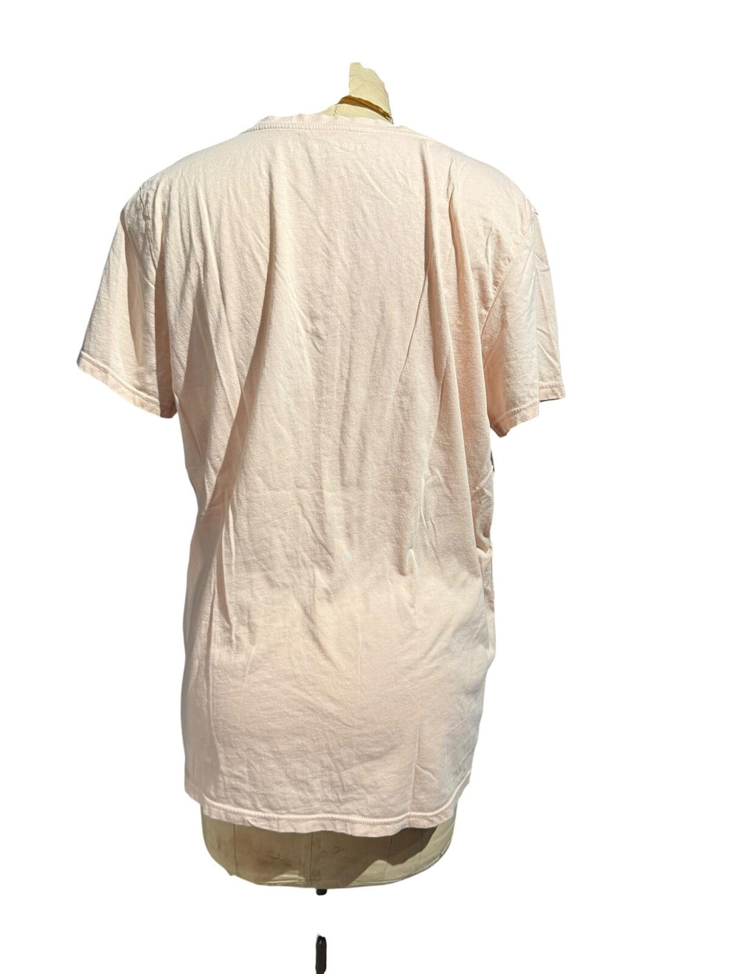 Everlane Light Pink V-Neck Short Sleeve T-Shirt
