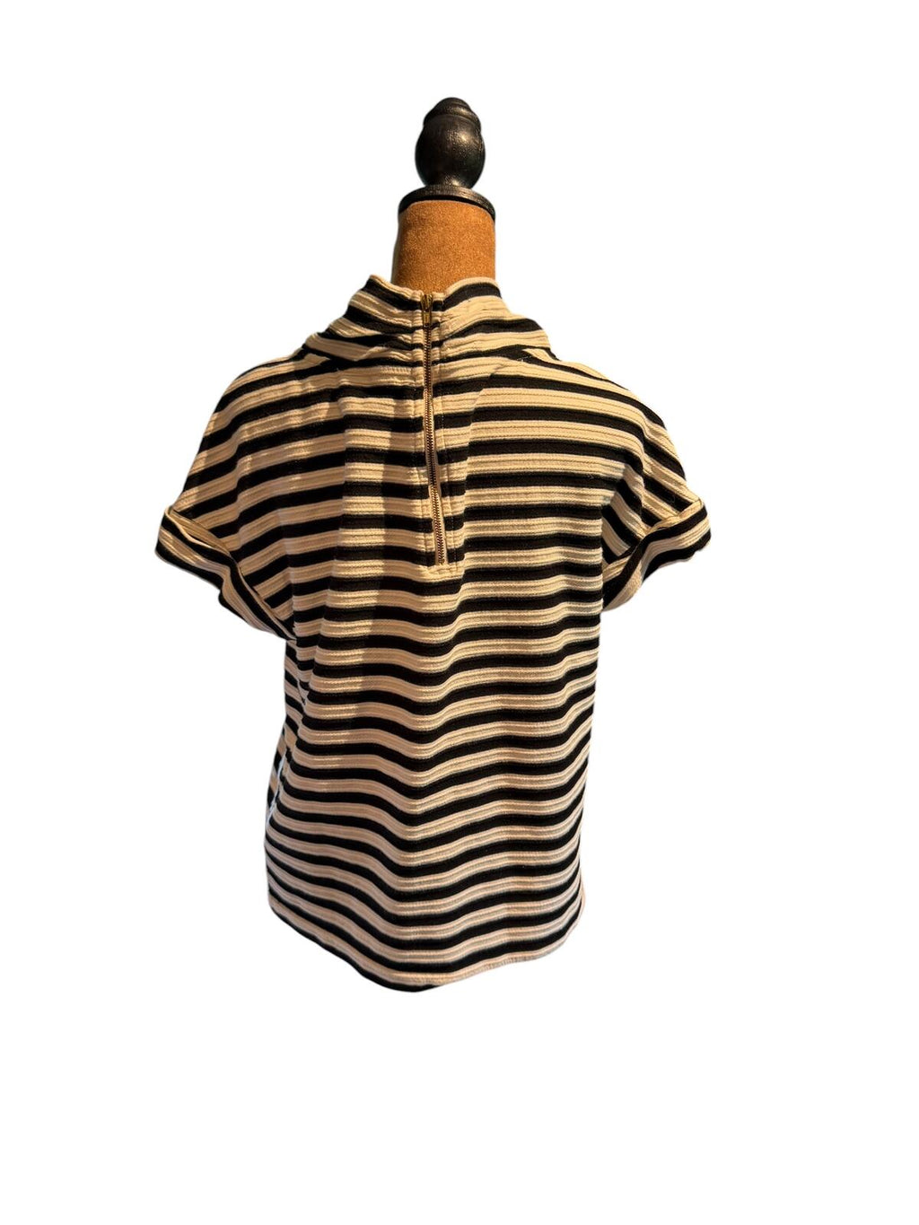 Anthropologie Postmark Striped Short Sleeve Turtleneck Top