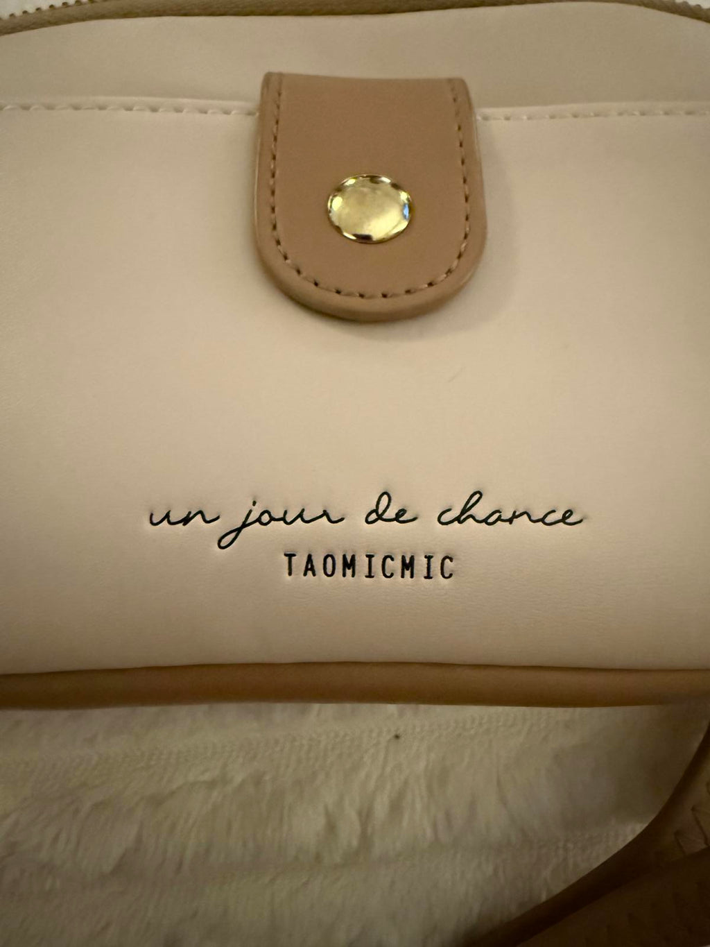 TAOMICMIC Beige Crossbody Bag with Brown Trim