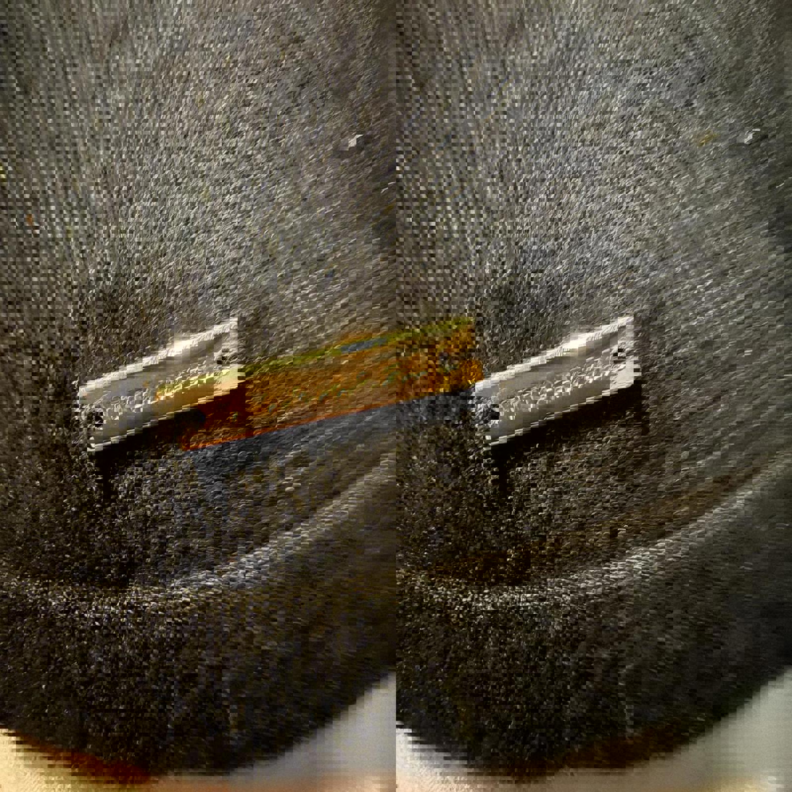 Catherine Malandrino Black Long Sleeve Sweater with Sheer Yoke Detail