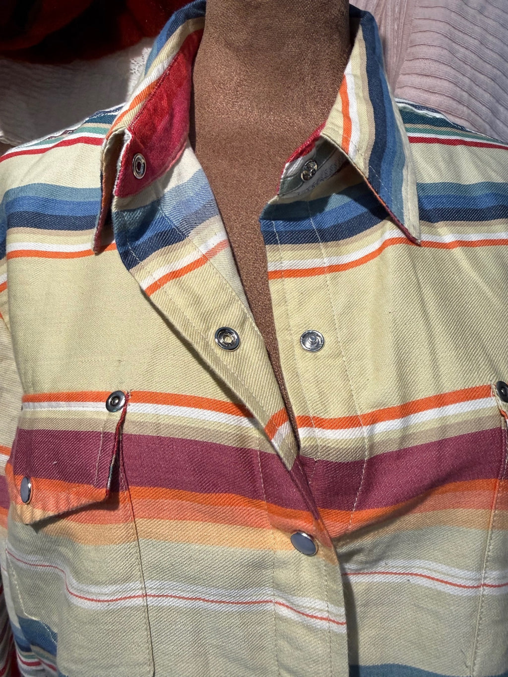 Tasha Polizzi for T.P. Saddleblanket & Co. Striped Cotton Button-Up Shirt