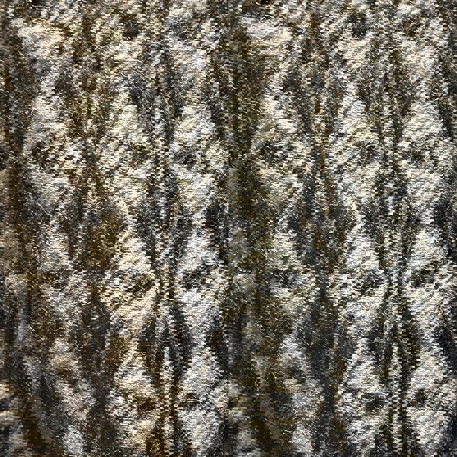 Kas New York Women's Grey and Black Jacket