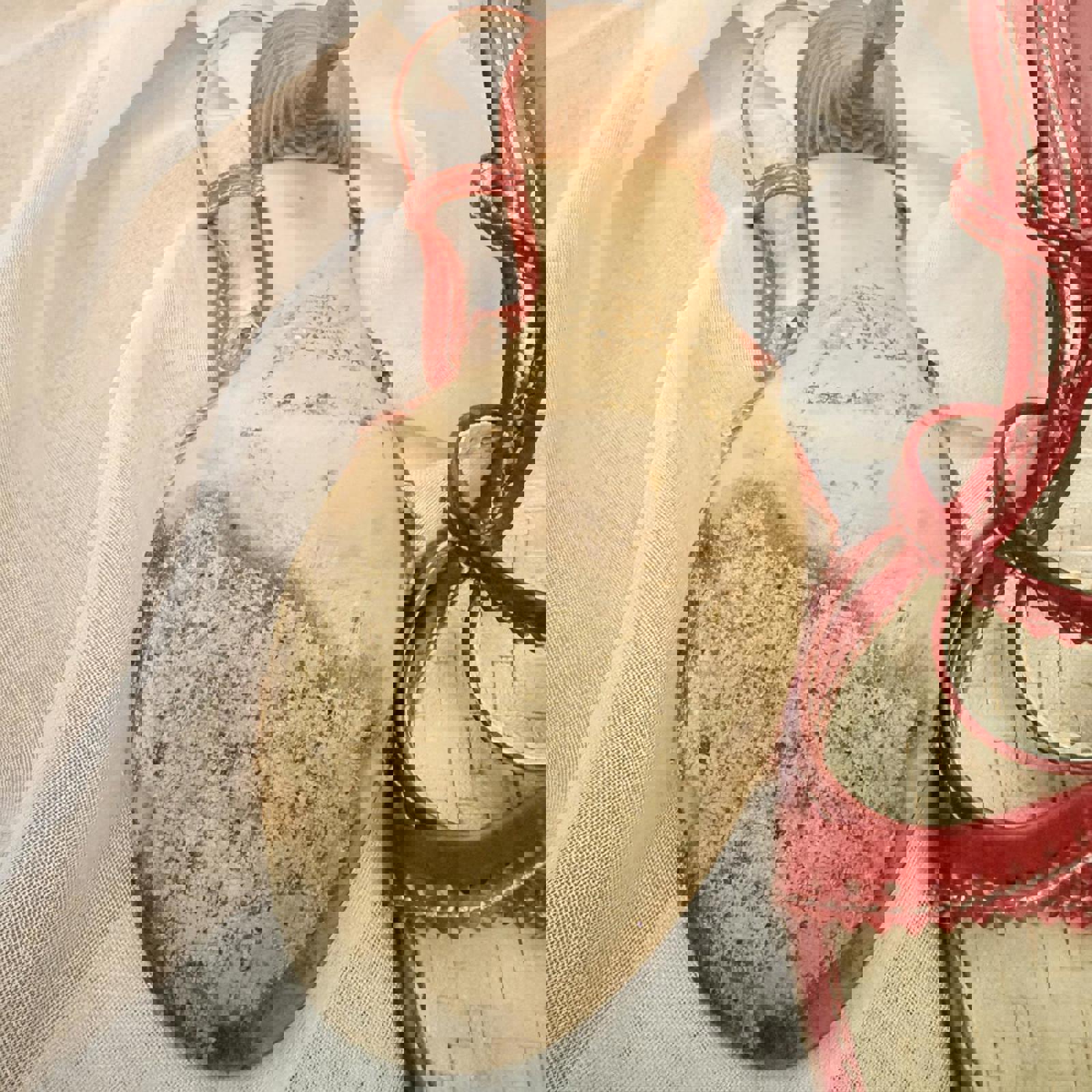 Casadei Red Leather Strappy Heels