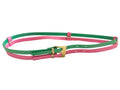 Double Strap Pink and Green Belt with Gold Buckle
